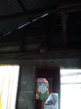 So I like your roof lady!