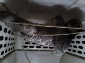 I can relax before you release me