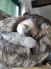 Recent picture of a happy Mimi