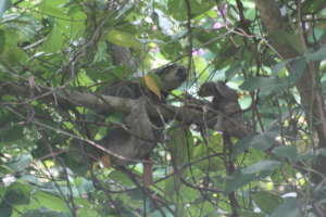 There is clearly some communication going on