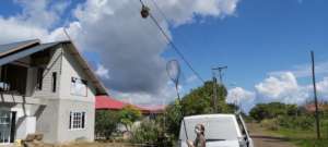 Sloth in difficult situation after dog attack