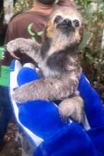 After treatment just before release