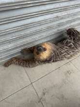 I miss my mommy, please help me...