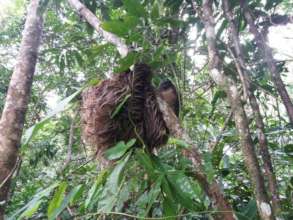 Beertje likes to visit and have a bite