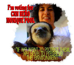 Please vote for CNN Hero, Monique Pool, of GHFS!