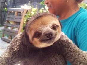 Elly a long-term resident waiting for her new home