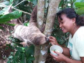 Animal caretaker Yvonne hand-feeding Beertje