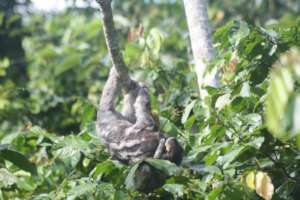 9July climbing on her mother's head