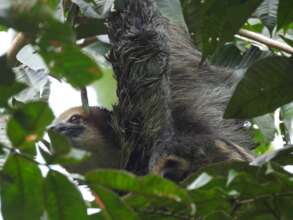 Mommy and baby hanging out