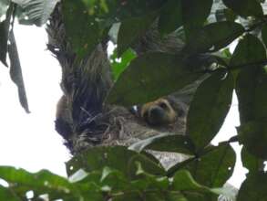 Already looking at us