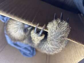 Jimmy just arrived at our center