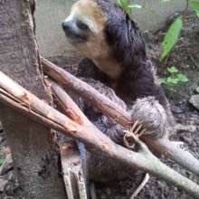 We do not always know what they have gone through