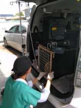 Anteater receiving treatment in our rescue van