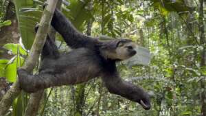 After bathing twice she cleaned up quite well