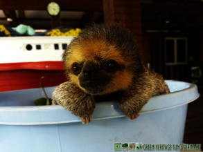 Jinkoe during her first months at the center