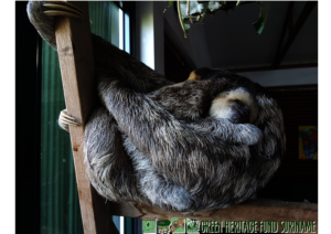 Mimi sleeping close to his mum