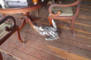 19November free again on the 1st of August