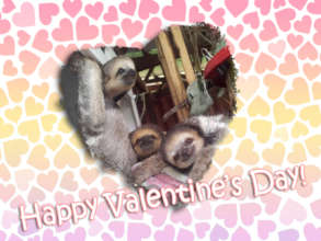 A Day of Friendship and Love for Nature