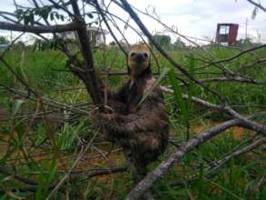 Is there hope? Will they take me to a new home?