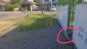 Sloth sitting on the ground in a residential area