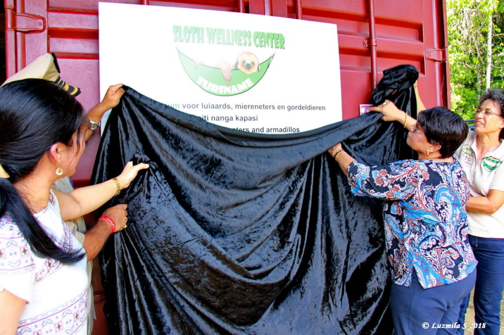 Sloth Sanctuary Suriname sequel: the whole story!