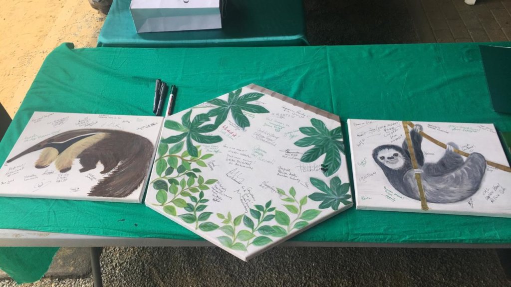 Sloth Sanctuary Suriname sequel: the whole story!