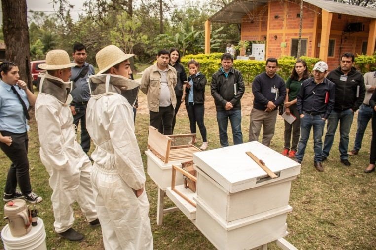 Students show their skills in beekeeping