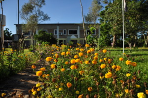 San Pedro Agricultural School, San Pedro, PY