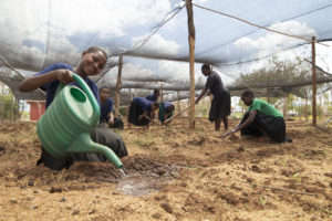 Students "learning by doing" in agriculture