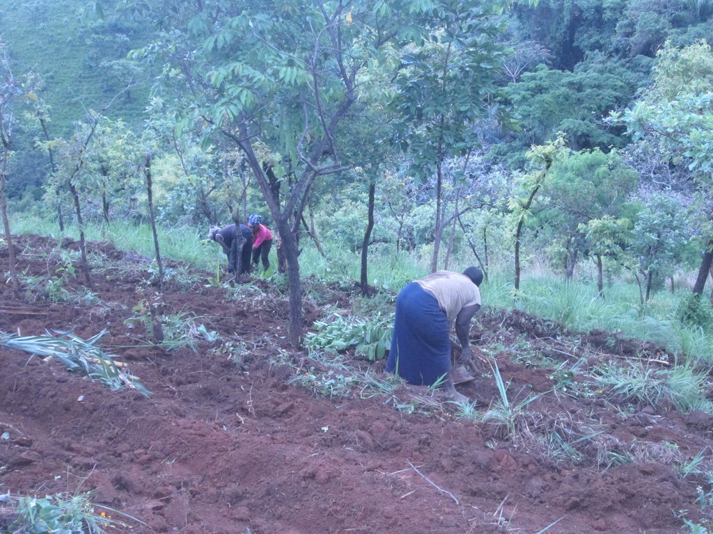 Community Action for  Water Catchment Protection
