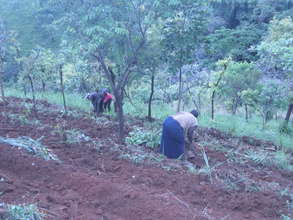 Farming at catchment