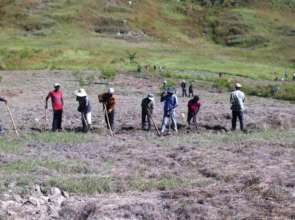 10 teams of 10 will prep an acre/day