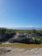 Help4Haiti property in Onaville