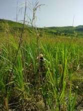 Working in the new field