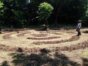 Isolina working on the medicinal herb plot