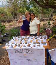 Medicinal plants grown at Project Bona Fide