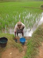 Diarrhoeal disease is a big problem here