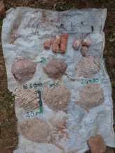 Soil samples to analyse the stratigraphic profile