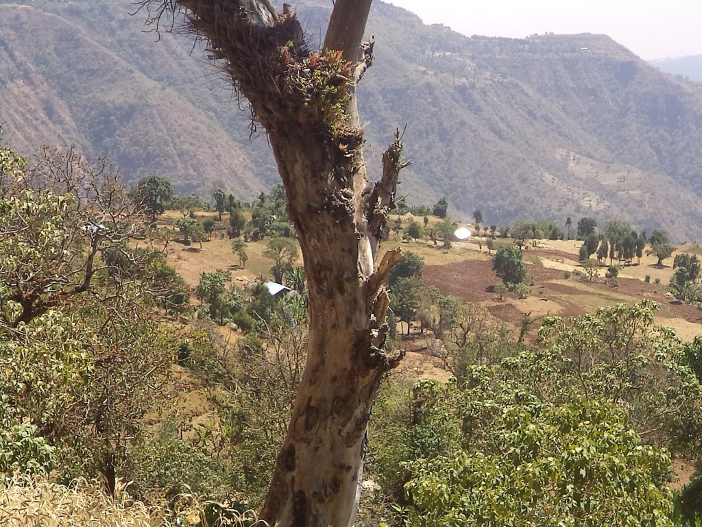 Clean water for Ethiopian community of 5,250