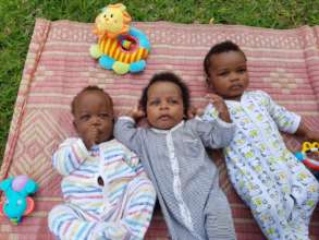 Summer 2018, 3 precious little souls