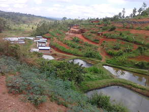 PHOTOS DU SITE