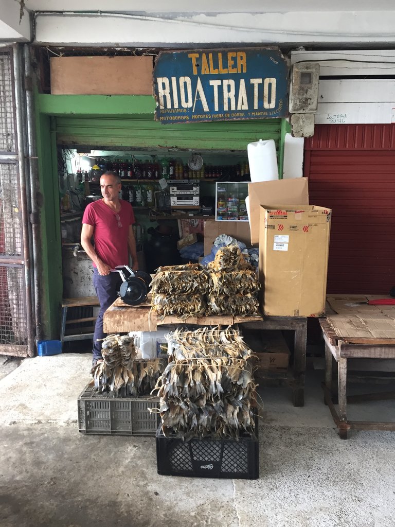Inside the Atrato: a Film Project