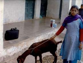 Young Girl with Goat = The Answer to a Lifetime of