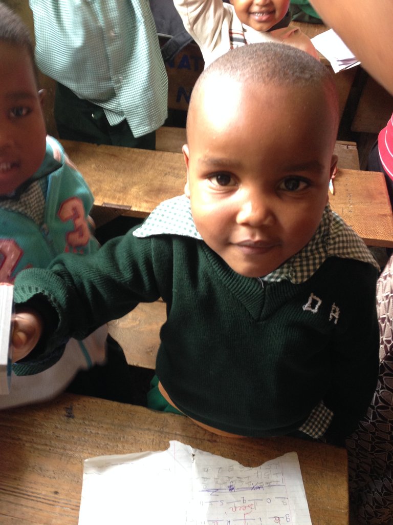 Purchase land to build a school in Tanzania