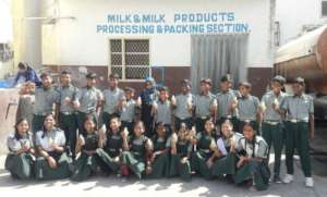 Masqati Dairy