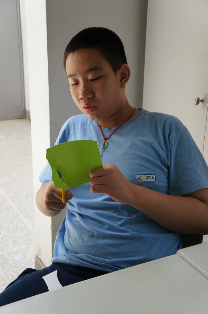 Educate 84 children/teens with autism in Venezuela