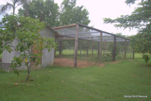 Weatherproof room attached to aviary