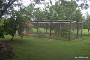 Finished aviary at dusk