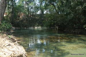 Our usual lovely river