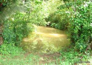 Roaring Creek swollen and dirty